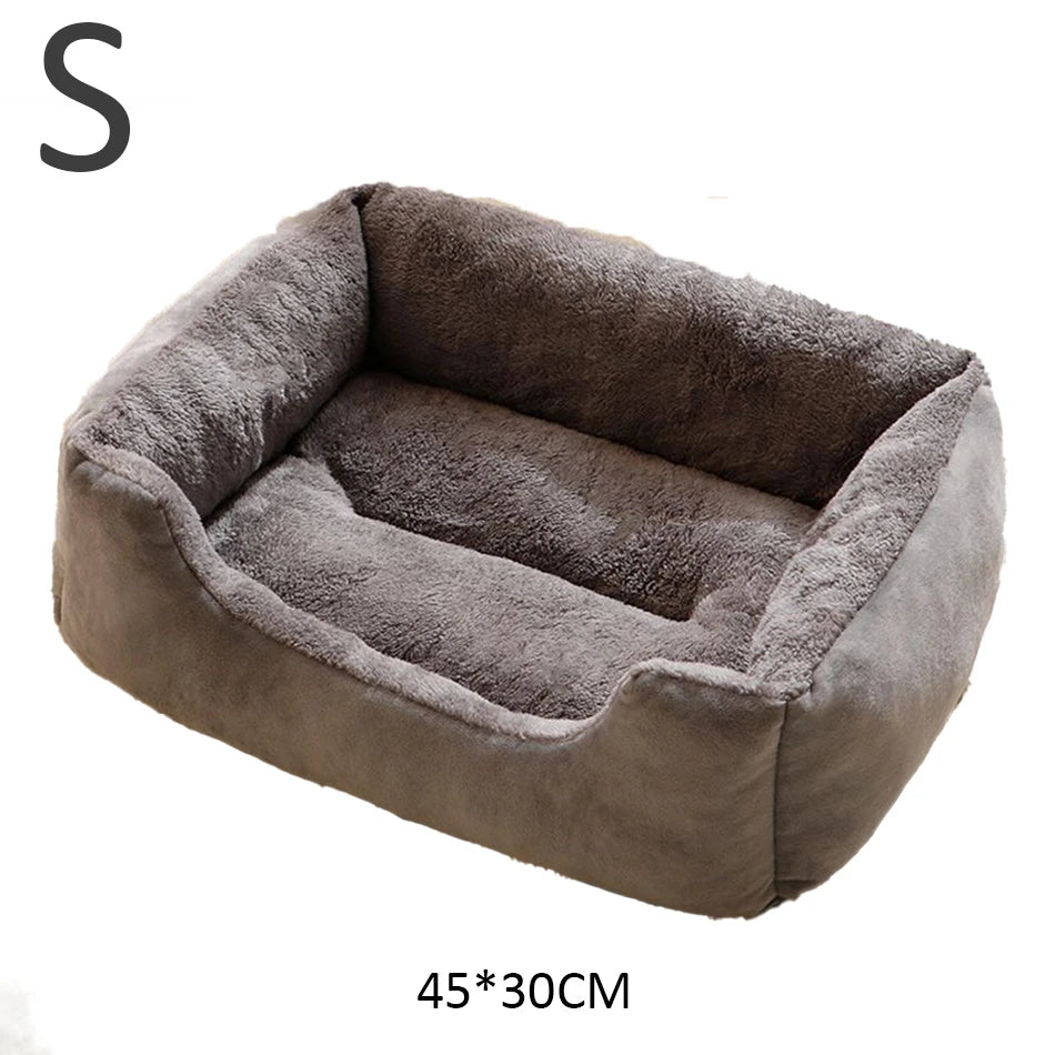 Bed for Cats Pet Products Cushions Kitten Goods Accessories Dog All Houses Supplies Things Accessory Habitats Basket House Beds