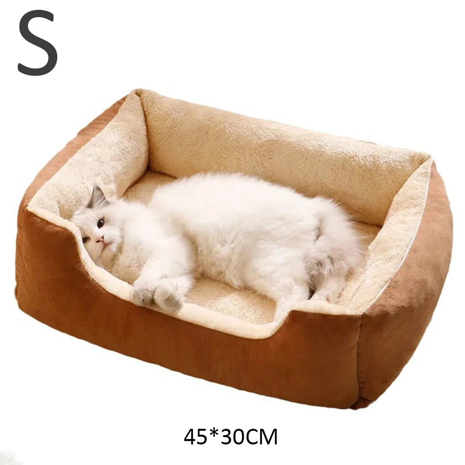 Bed for Cats Pet Products Cushions Kitten Goods Accessories Dog All Houses Supplies Things Accessory Habitats Basket House Beds