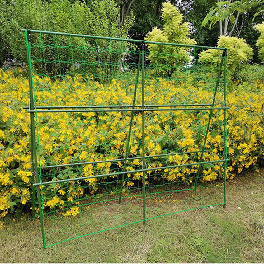 2022 Hi-quality Nylon Garden Netting Loofah Morning Glory Flowers Vine Plants Climbing Net Cucumber Vine Grow Holder Brackets