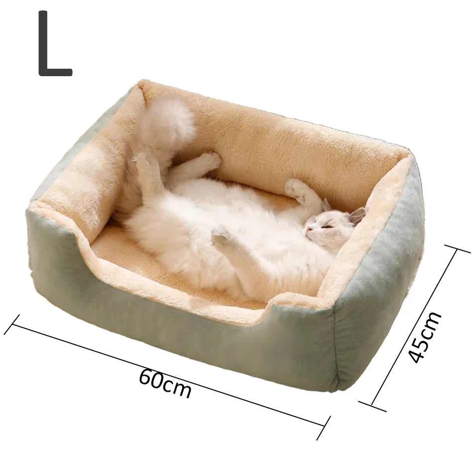 Bed for Cats Pet Products Cushions Kitten Goods Accessories Dog All Houses Supplies Things Accessory Habitats Basket House Beds