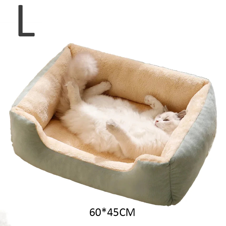 Bed for Cats Pet Products Cushions Kitten Goods Accessories Dog All Houses Supplies Things Accessory Habitats Basket House Beds